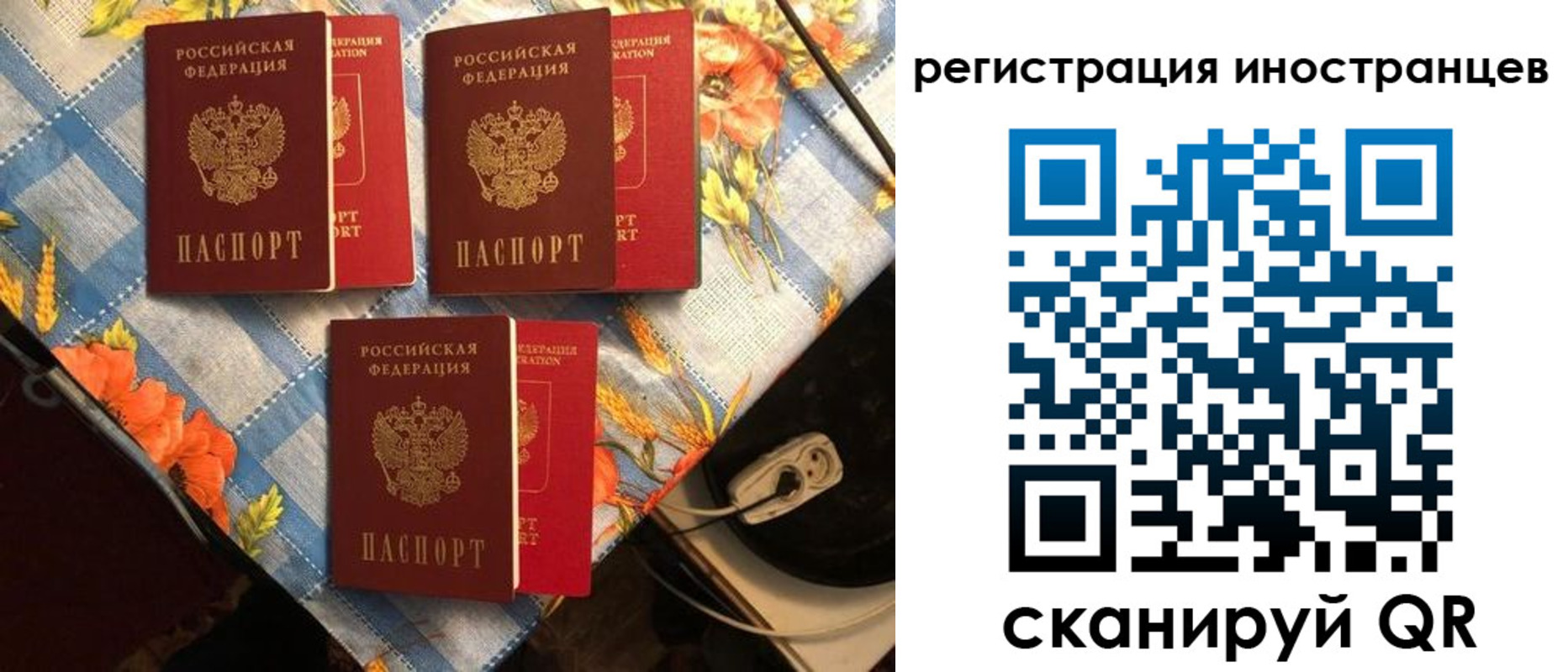прописка поиск в Сатке